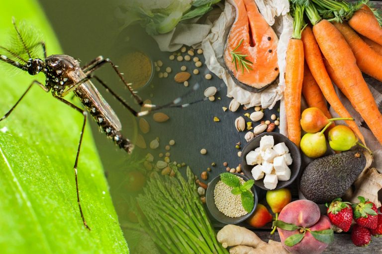 Alimentul care alungă țânțarii. Este aliatul ideal împotriva acestor insecte, cum trebuie să-l folosești de fapt