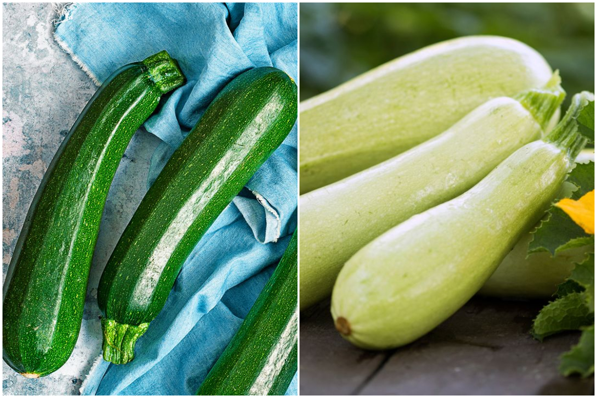 Care este diferența dintre dovlecei și zucchini