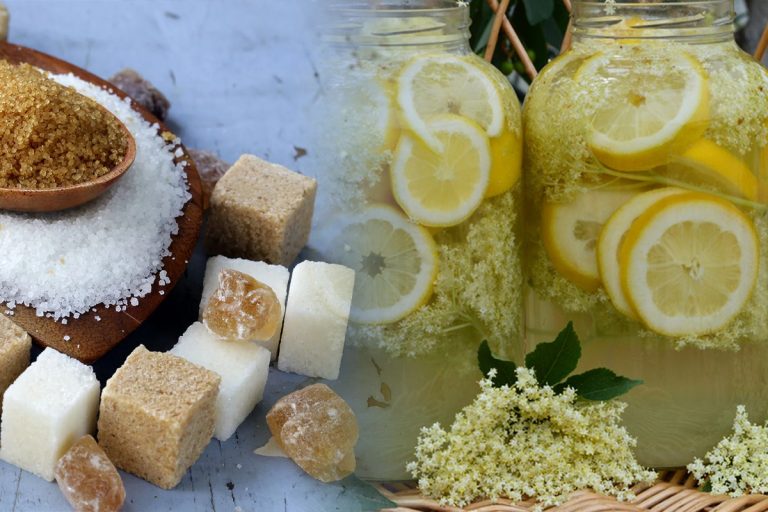 Cât zahăr se pune la socată. Secretul pentru o aromă intensă, rețeta pe care o vei prepara mereu