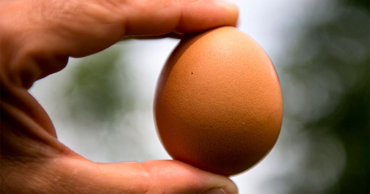 Ce înseamnă când visezi ouă