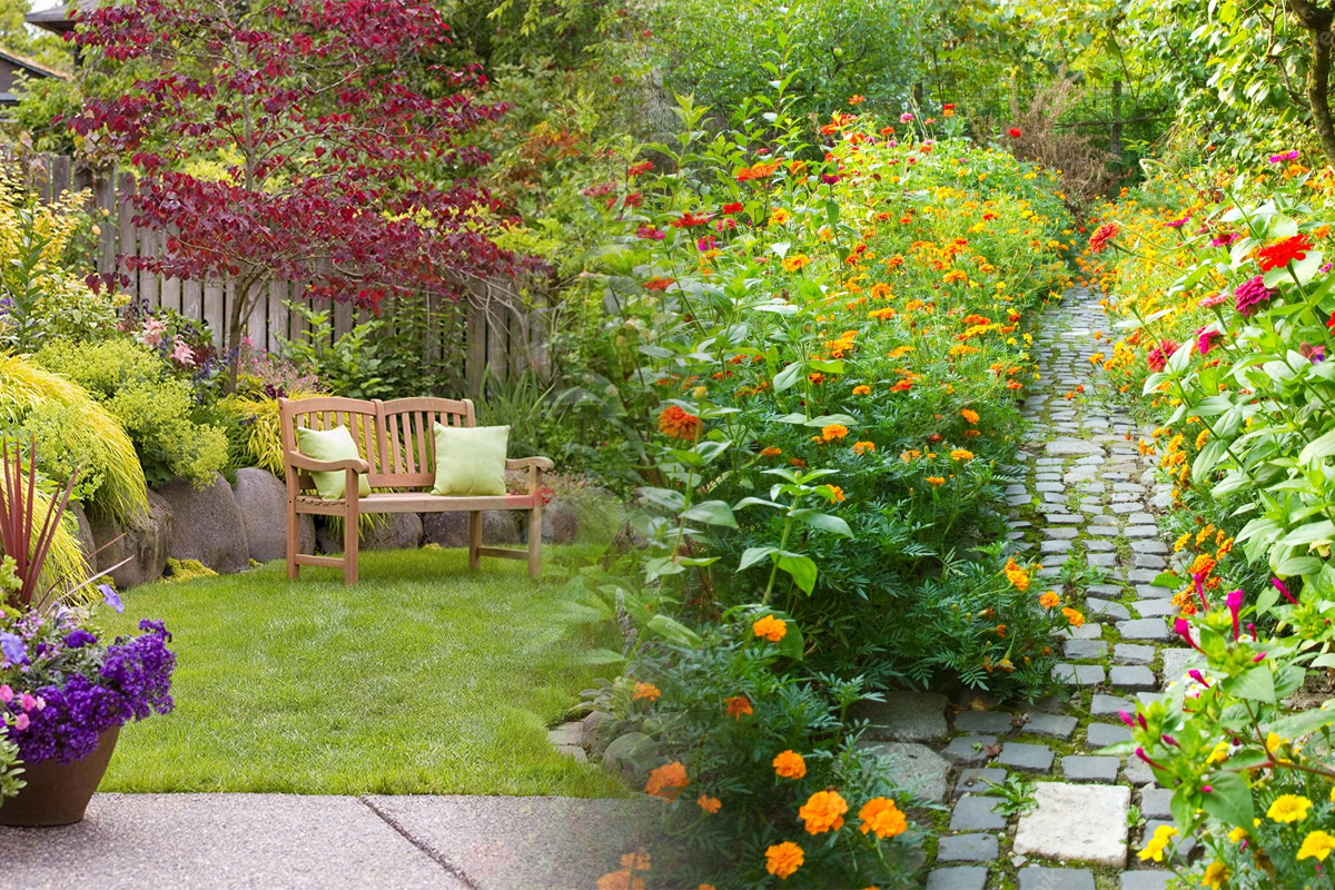 Ce sa faci acum cu plantele din gradina. Asa vor inflori cat mai bogat pana toamna tarziu