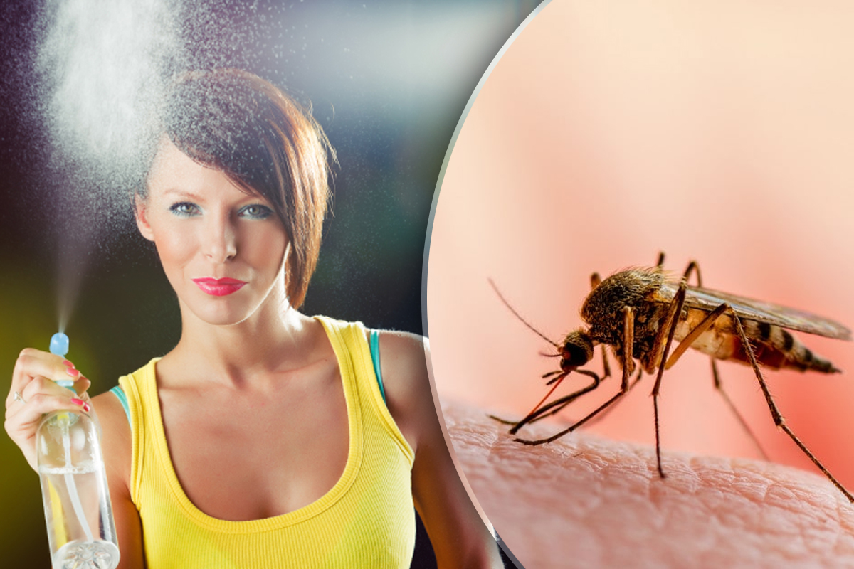 Cel mai bine păstrat secret al fermierilor pentru a scăpa de țânțari