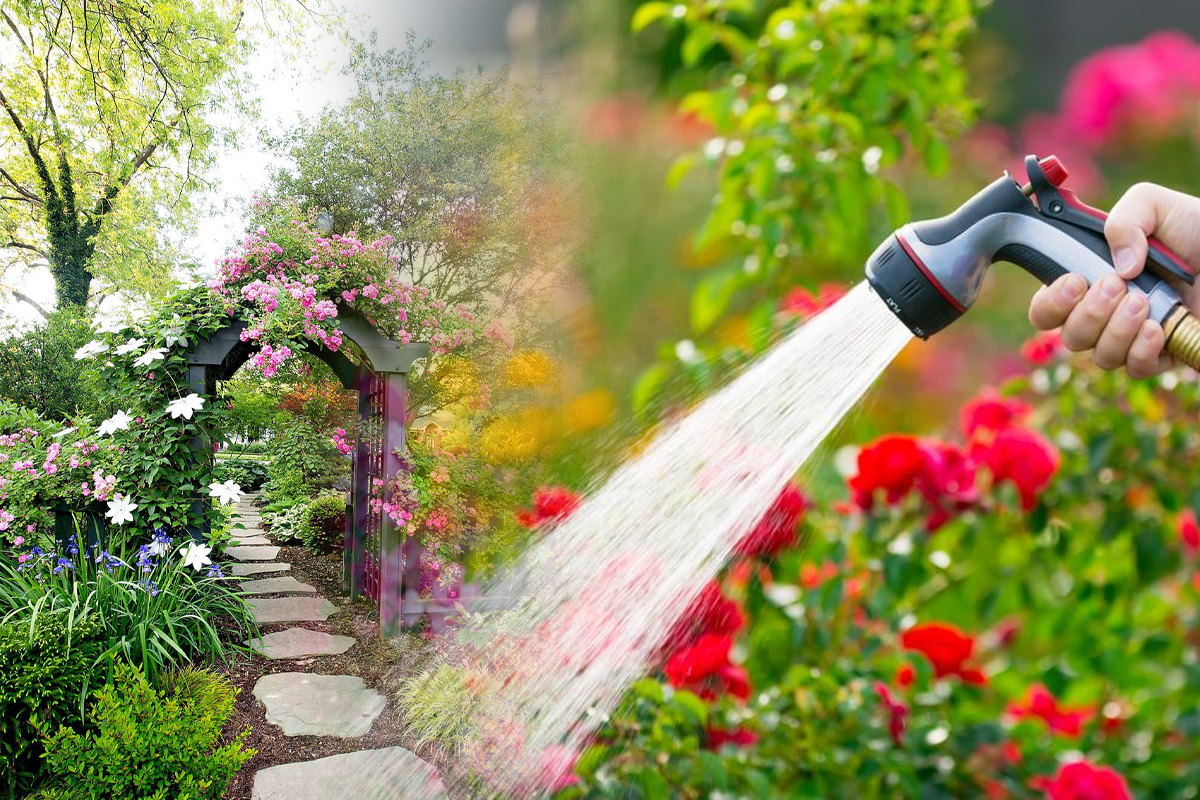 Cu ce să stropești în grădină pentru a scăpa de dăunători. Amestecul extraordinar care rezolvă problema