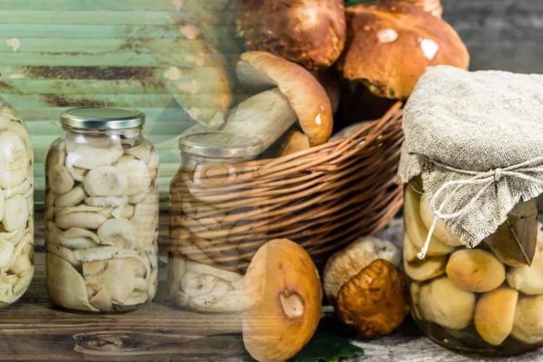 Cum faci cei mai buni bureți la borcan pentru iarnă. Marele secret pe care trebuie să-l știe toate gospodinele