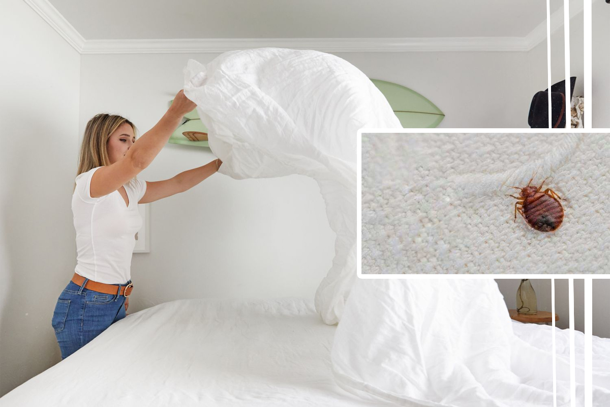 Scapă definitiv de ploșnițe cu acest truc simplu