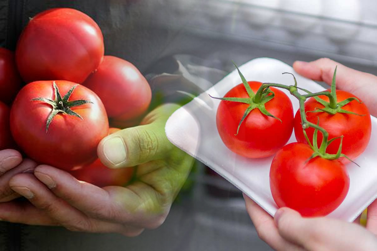 Cum se pastreaza corect rosiile. Asa vor fi proaspete chiar si doua saptamani dupa recoltare