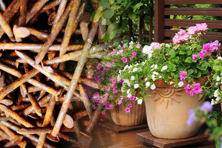 De ce să baţi cuie ruginite în ghivecele cu flori. Trucul din bătrâni care face minuni
