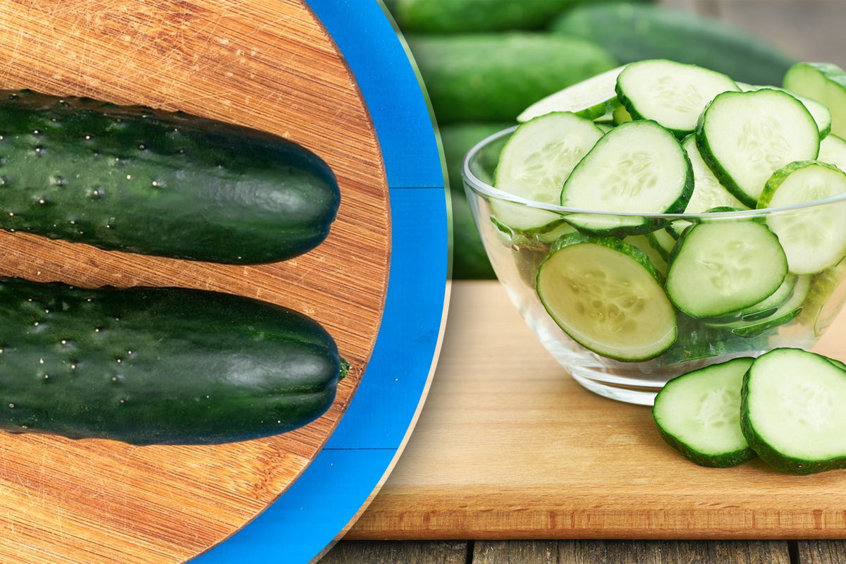 De ce sunt amari castravetii din gradina. Trucul special care poate salva situatia