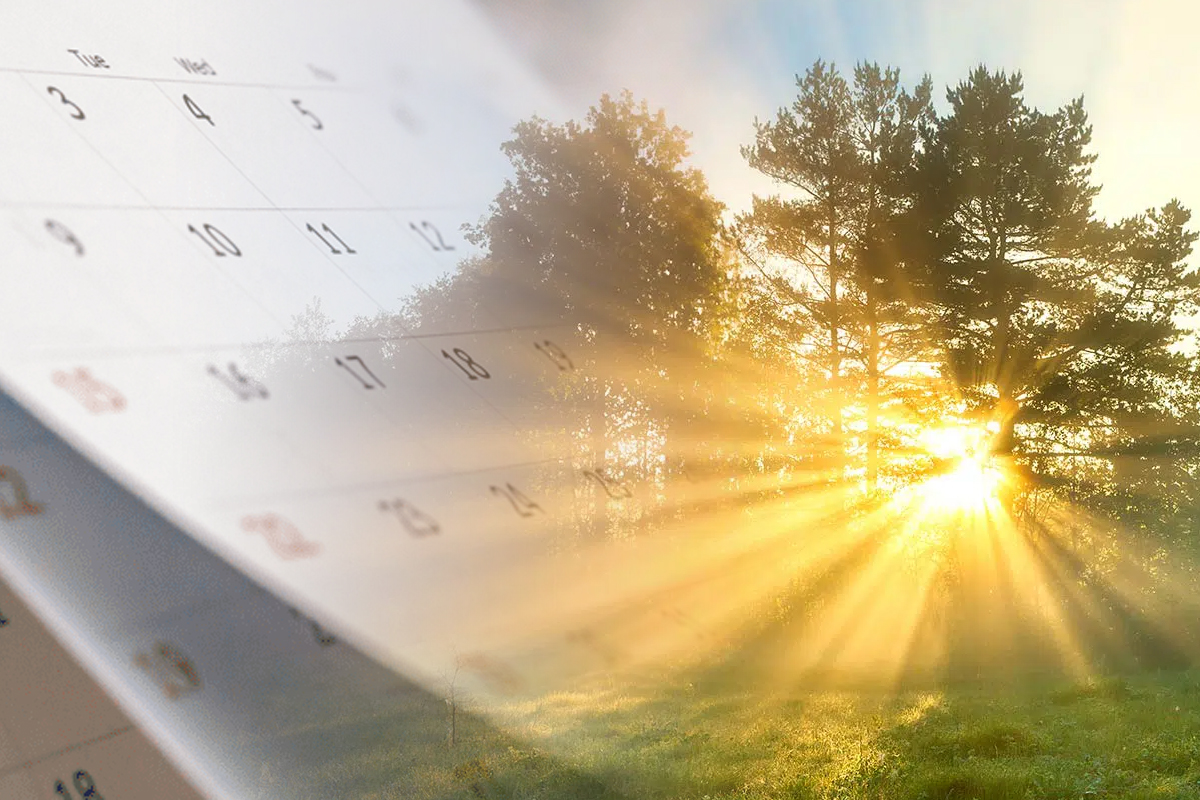 Fenomen spectaculos in Romania. Ce se intampla in iulie, romanii se inghesuie sa vada minunea