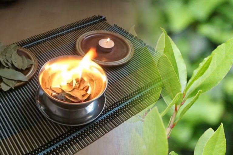 Gospodinele pricepute ard săptămânal frunze de dafin în casă. Efectul e fabulos, vei face și tu la fel