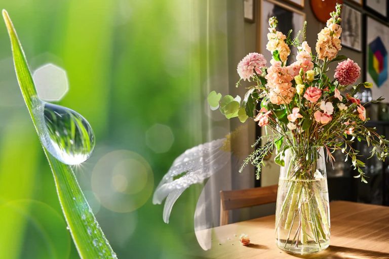 Medicamentul banal pe care să-l pui în apa florilor. Așa vor rezista mai mult în vază