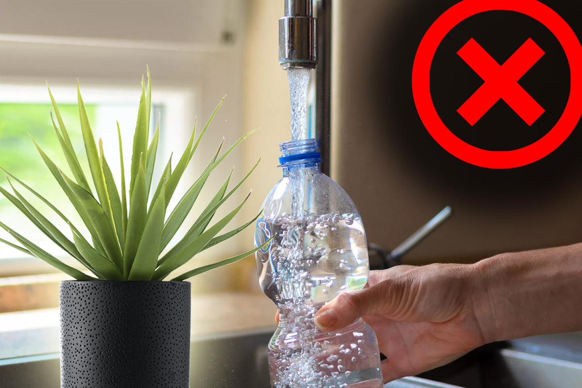 Nu mai uda florile cu apă de la robinet