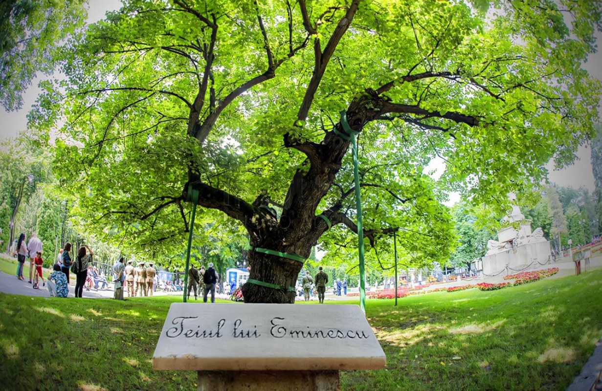 Obiective turistice în Iași