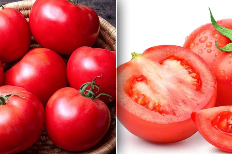 Truc secret pentru roșii mari și cărnoase. Cu ce să le stropești de fapt, efecte vizibile