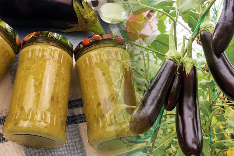 5 greșeli mari când pui vinetele la borcan. De asta ies amare și nu se conservă bine