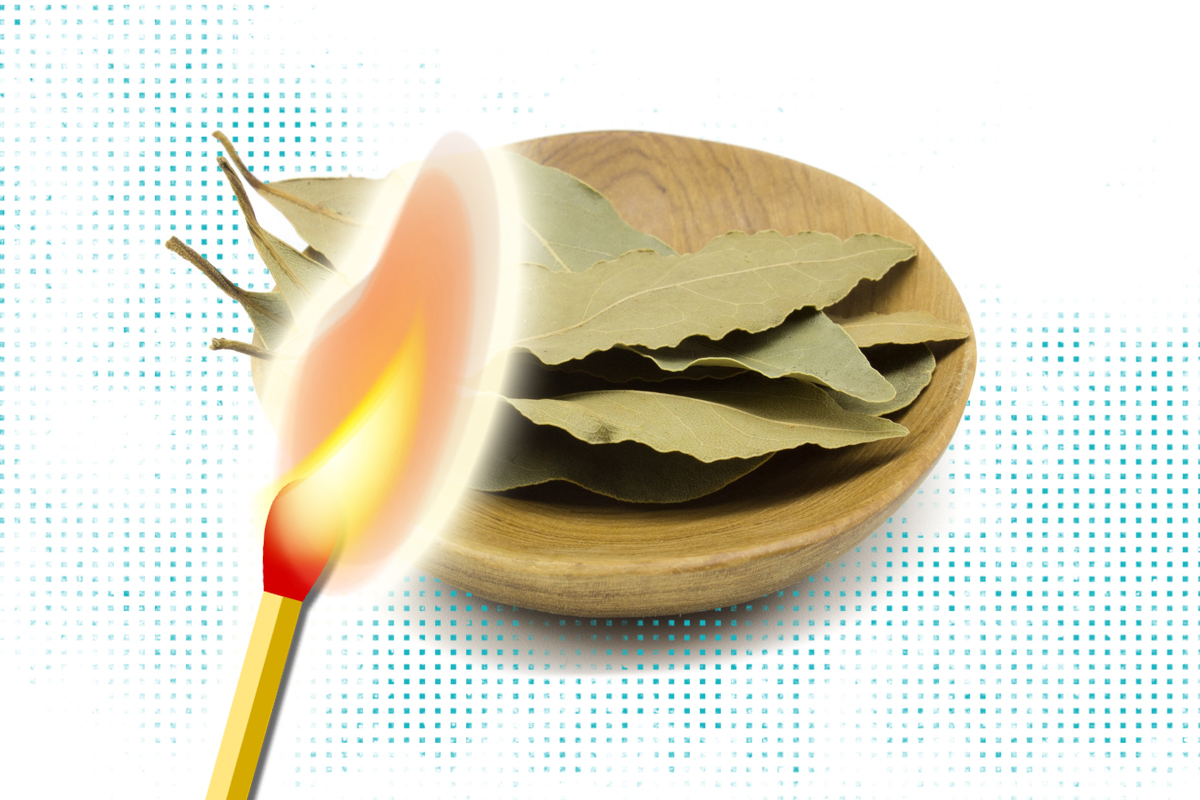 De ce să pui foi de dafin la intrarea în casă. Schimbările te vor ului, trucul extraordinar pe care trebuie să-l încerci