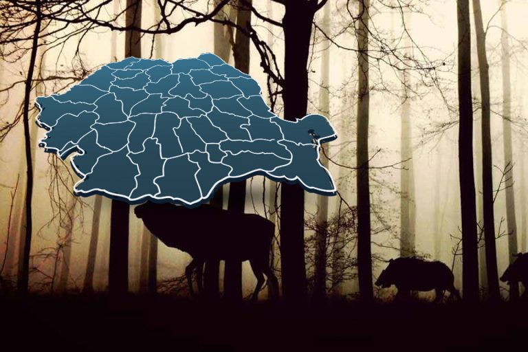 Animalul rar care trăiește în România. Este de o mare frumusețe, doar câteva exemplare mai trăiesc