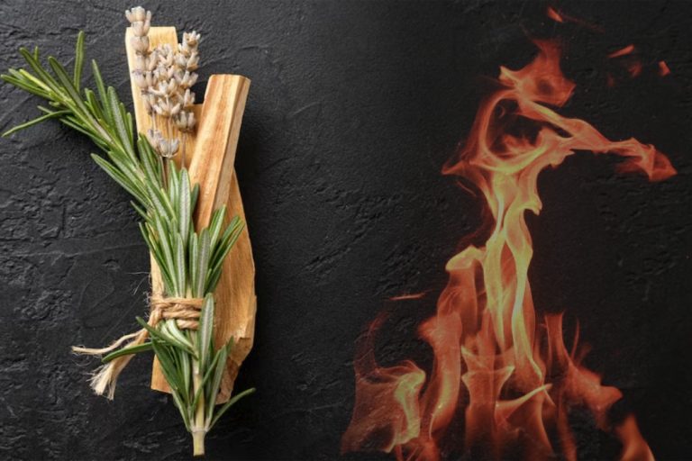 Arde o crenguță de rozmarin în casă și vezi ce se întâmplă după doar 10 minute. Ți-ai fi dorit să știi asta până acum