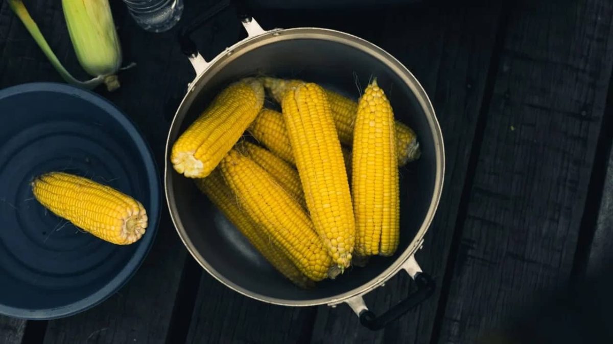 În cât timp fierbe porumbul