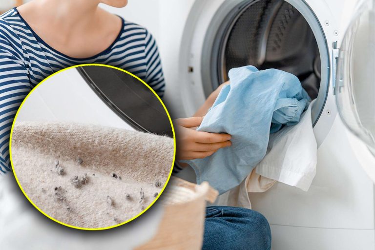 Ce trebuie să pui în mașina de spălat pentru a scăpa de scame. Trucul banal care rezolvă această problemă