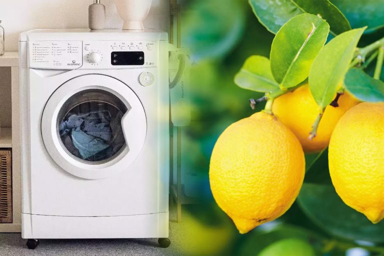 Ce se întâmplă dacă pui o lămâie în mașina de spălat. Vei scăpa de problema cu care se confruntă toate gospodinele