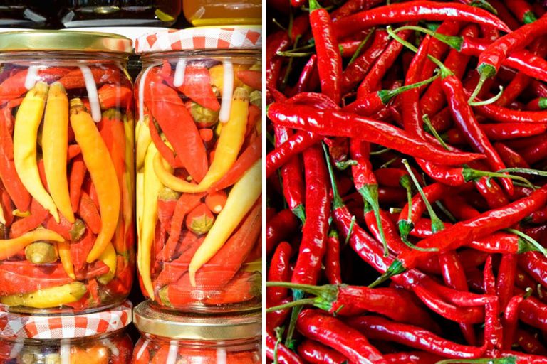Cea mai simplă rețetă de ardei iuți la borcan pentru iarnă. Nu necesită fierbere, secretul bucătarilor pentru un gust parfumat