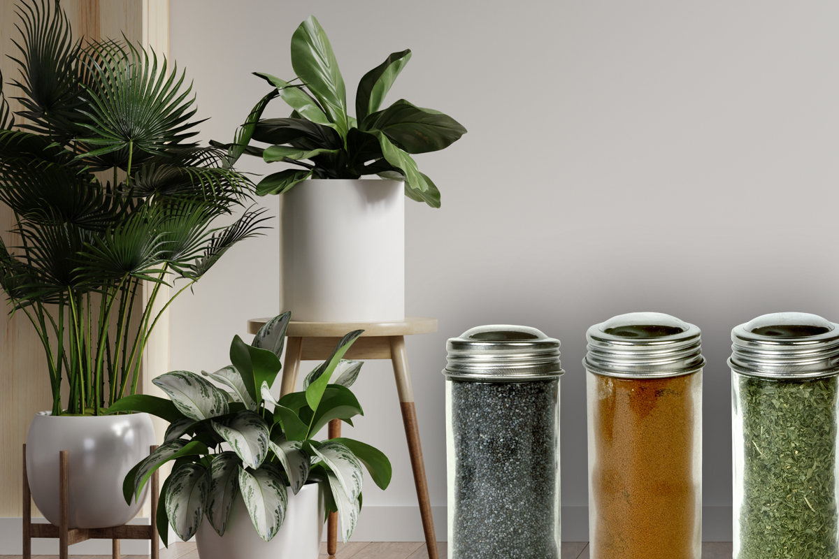 Condimentul secret pentru plante ca sa creasca sanatoase si puternice. Florile tale vor fi mai frumoase ca niciodata