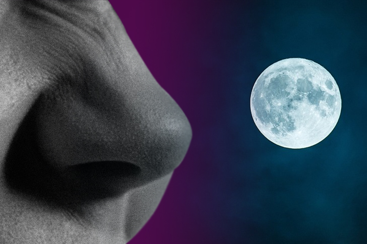 Cum miroase pe Lună, de fapt. Descoperirea uimitoare făcută de astronauți