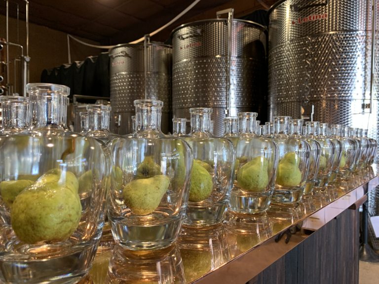 Cum bagi o pară într-o sticlă de pălincă. Trucul pe care nu ți l-a arătat nimeni până acum