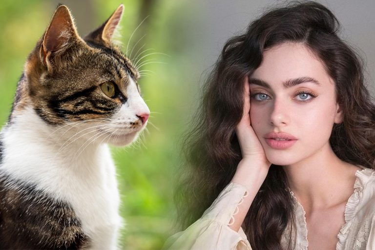 De ce pisica se uită fix la tine. Asta îți transmite, de fapt