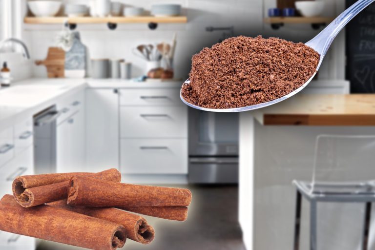 De ce să presari scorțișoară în toate colțurile casei. Te ajută mai mult decât crezi, efect incredibil