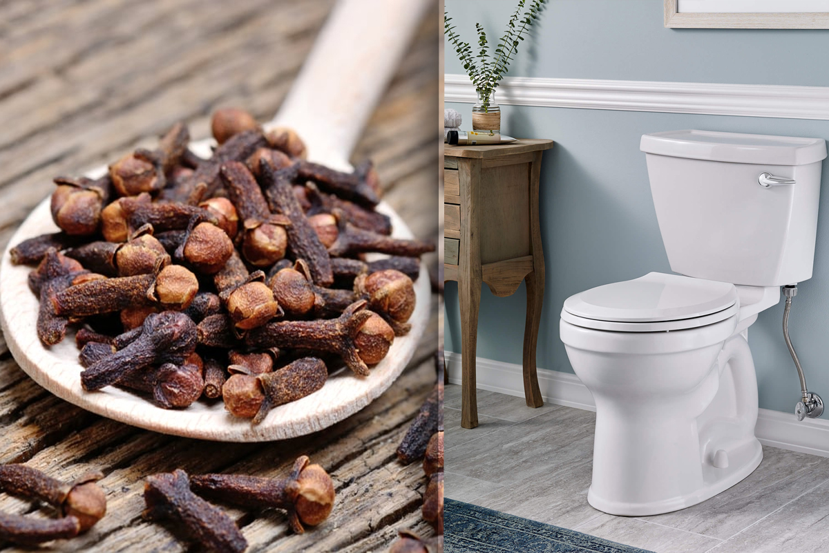 De ce sa pui cuisoare in vasul de toaleta. Metoda rezolva o problema uriasa