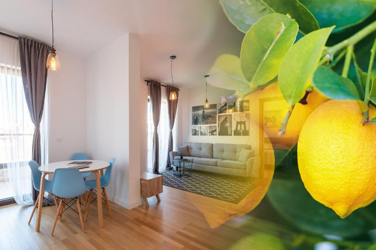 De ce să pui lămâie în toată casă