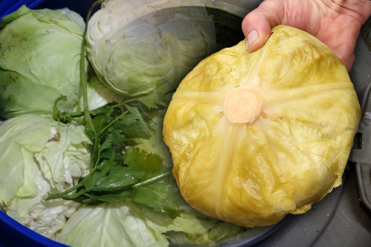 Ingredientul secret pe care să-l pui în butoiul cu varză murată. Schimbă tot gustul, maramureşencele îl folosesc de ani buni