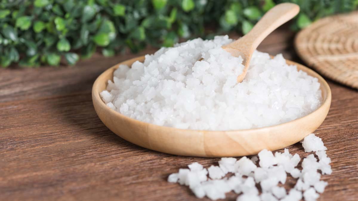 Ingredientul neașteptat pe care să-l presari în grădină. Recolta de ardei și roșii va fi uriașă, toți vecinii vor dori să afle rețeta