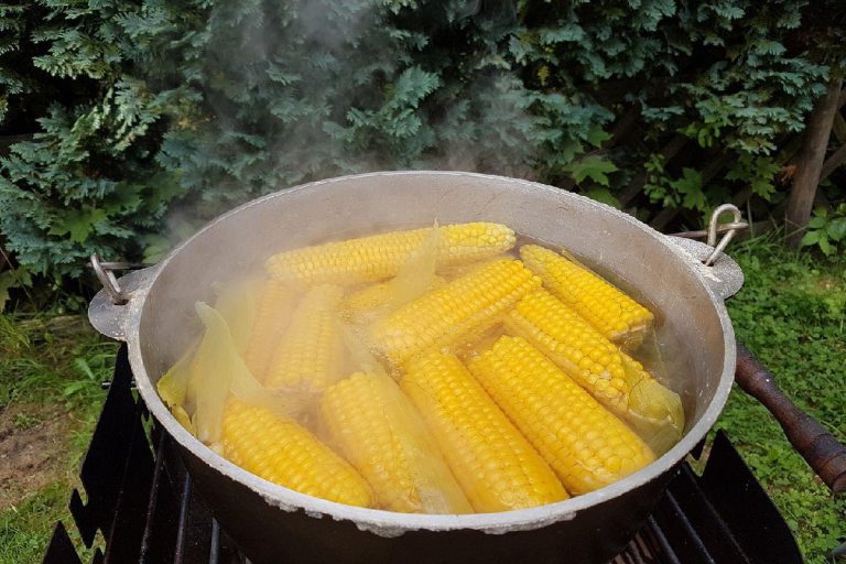 Ingredientul pe care să-l adaugi în apa în care fierbi porumbul. Va ieși moale și mult mai gustos, trucul pe care trebuie neapărat să-l încerci