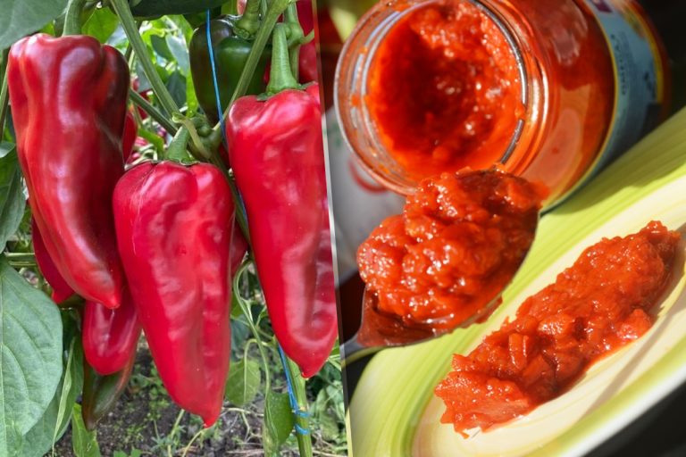 Pastă de ardei capia ca la mama acasă. Face minuni pentru orice preparat