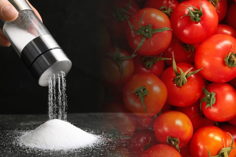 Puține gospodine au auzit de trucul ăsta. De ce să pui mereu sare peste roșii înainte de a le găti. Marii bucătari l-au dezvăluit