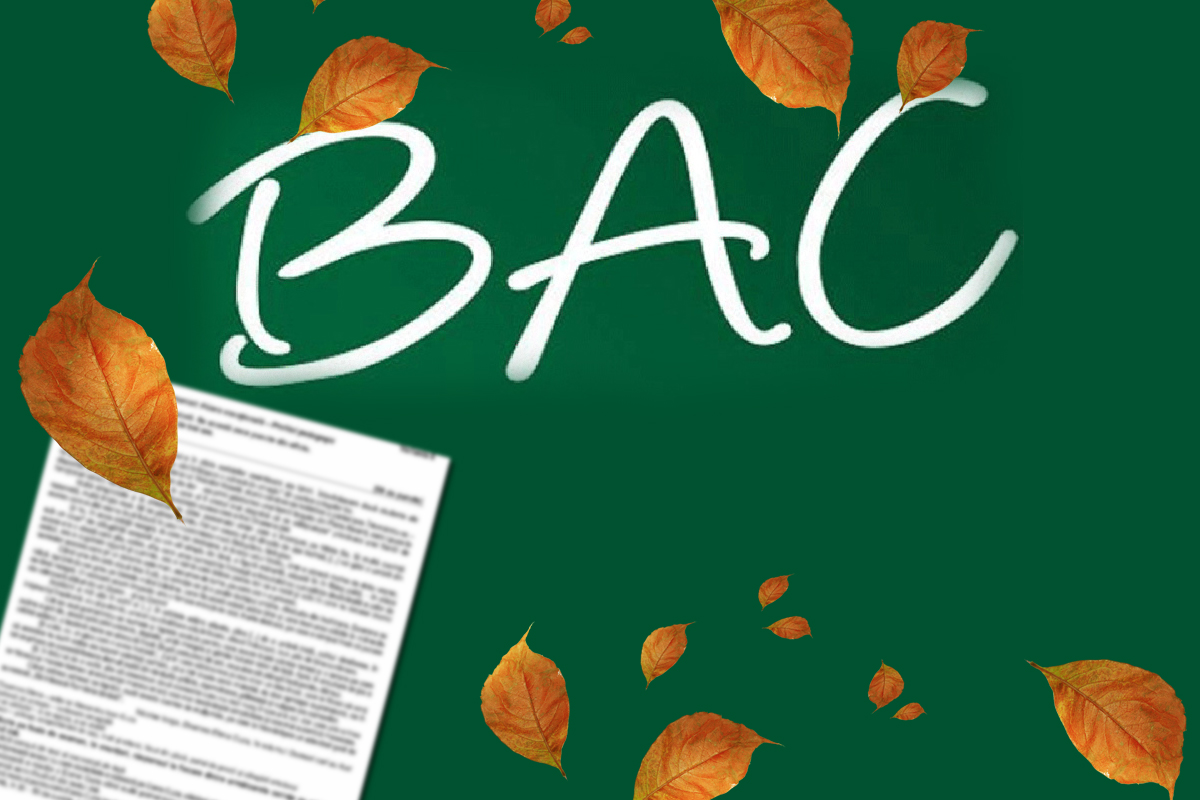 Rezolvare subiecte BAC 2023 sesiunea de toamnă la proba la alegere