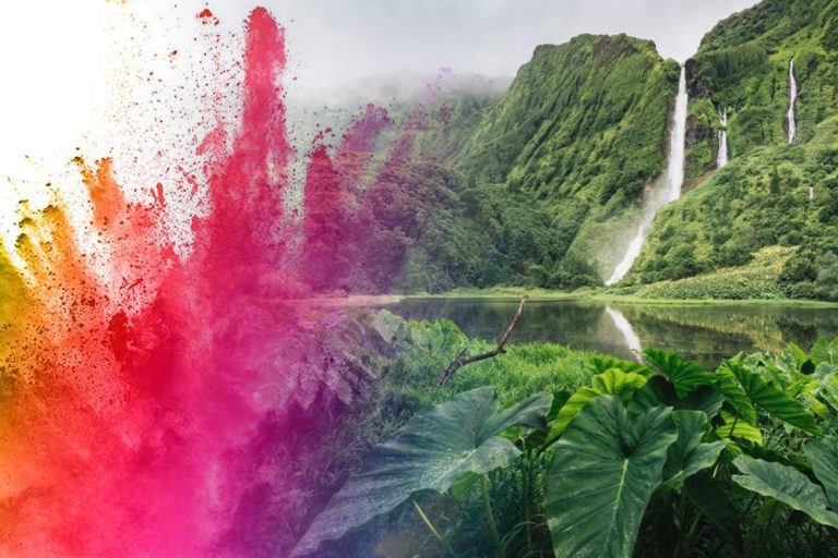 Singura culoare care nu există în natură. Sigur nu ai observat niciodată asta