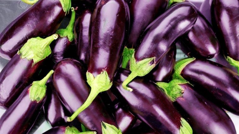 Cum și cât timp se coc vinetele la cuptorul electric. Temperatura care trebuie setată, așa nu se afumă bucătăria