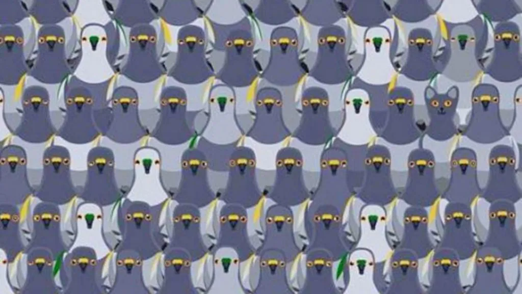 Vezi pisica din imagine