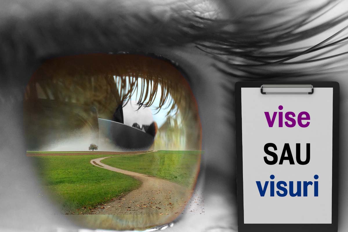 Care este pluralul la “vis”