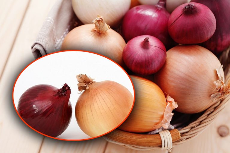 Trucul care te ajută să tai ceapa fără să plângi. Ce trebuie să faci cu ea, înainte de a o toca. Metoda e genială