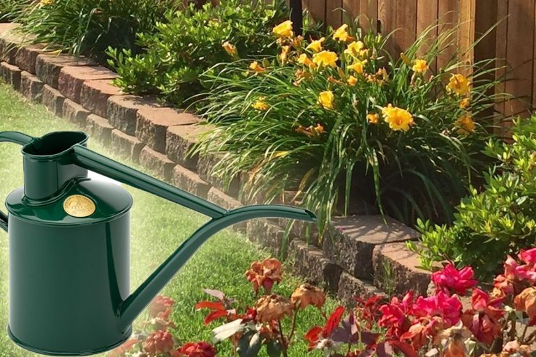 Amestecul magic cu care să uzi în grădină pentru plante mereu înflorite. Curtea casei tale va atrage toate privirile