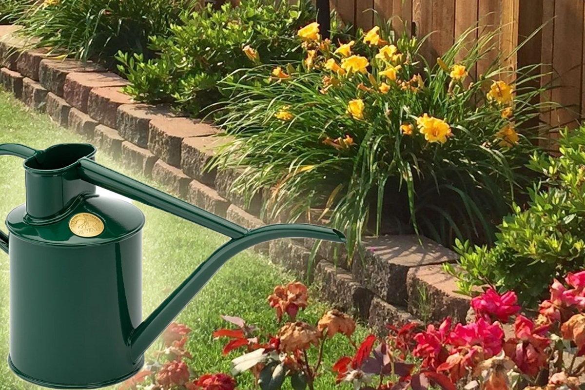 Amestecul magic cu care să uzi în grădină pentru plante mereu înflorite