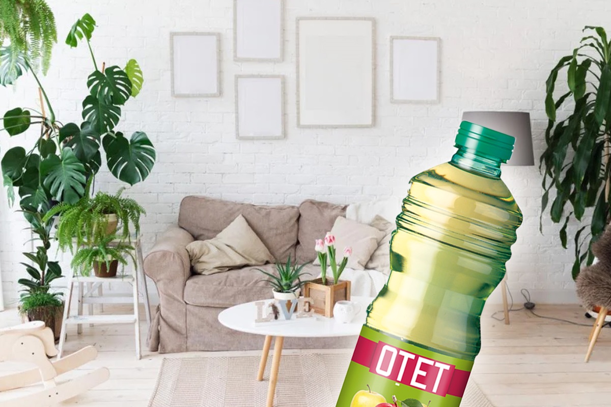 4 utilizări secrete ale oțetului în grădină