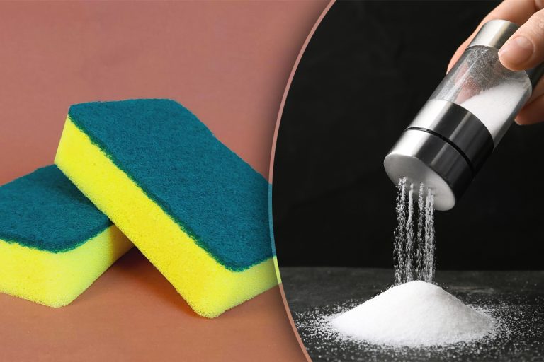 A tăiat un burete, a presărat sare în el, iar apoi l-a pus în frigider. Trucul e genial, trebuie să-l știi și tu