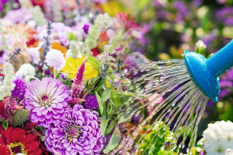 Amestecul extraordinar cu care să stropești în grădină. Te scapă instant de buruieni, vei fi surprins de rezultate