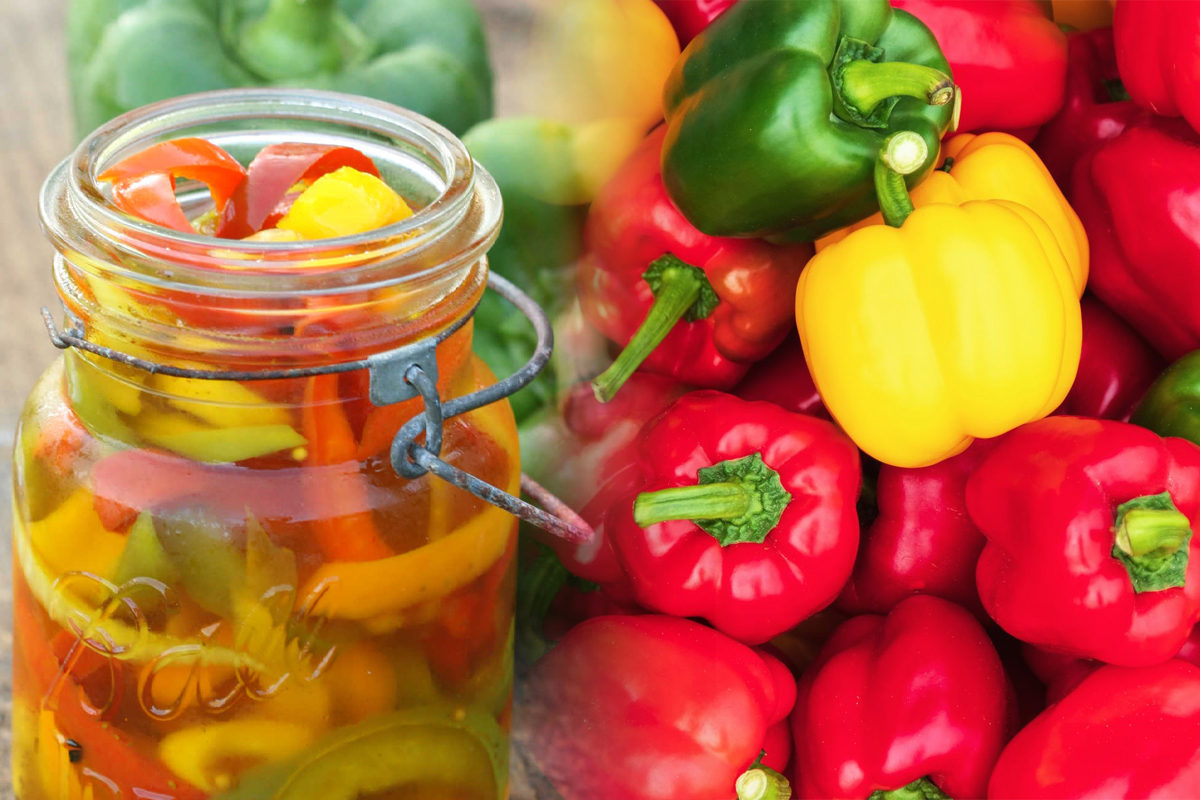 Cat otet se pune la gogosarii murati, de fapt. Asa raman crocanti si se pastreaza perfect peste iarna